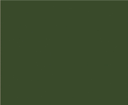 FL army green